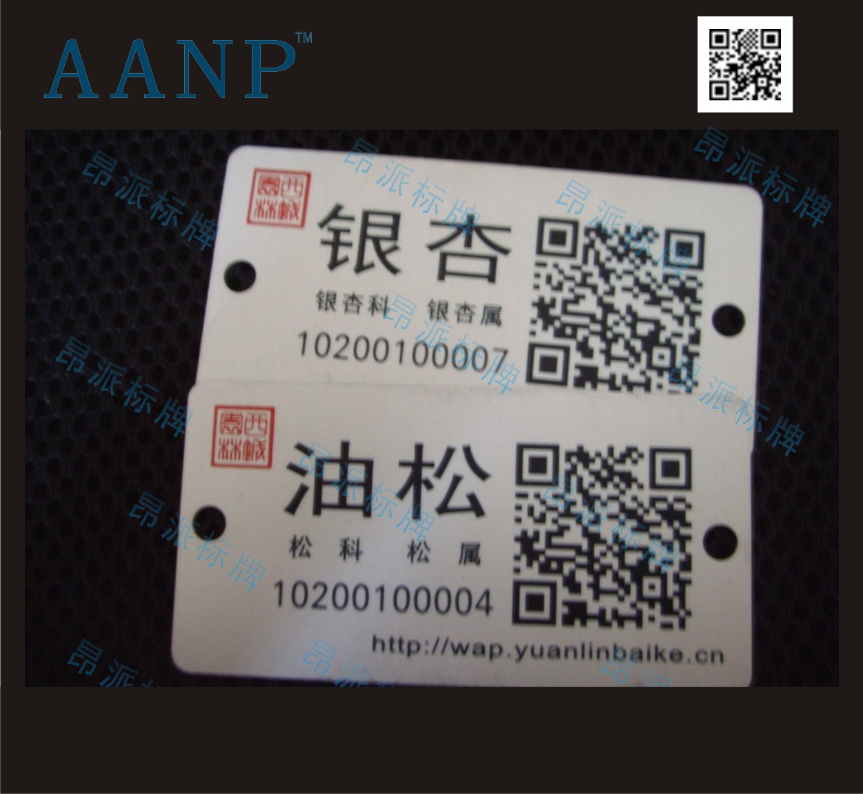 樹木金屬二維碼